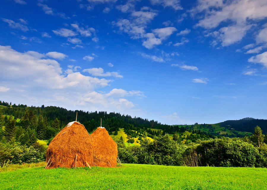 Haystack by lica20 on DeviantArt