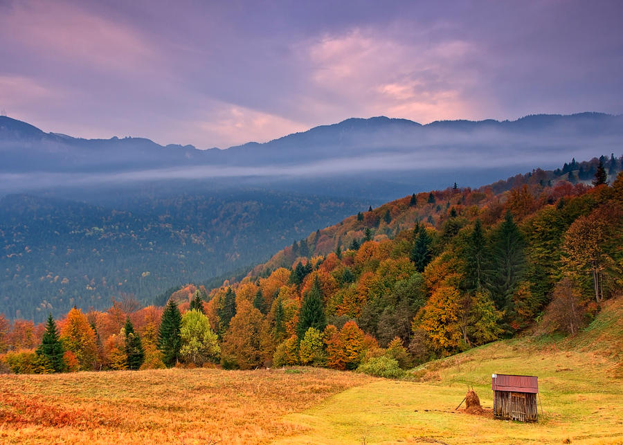 Autumn In Bukovina.