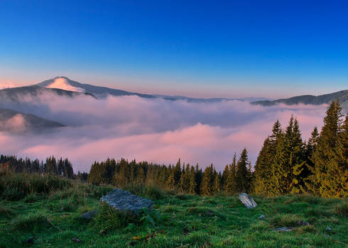 Bistrita Valley