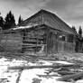 Hut of Bukovina,