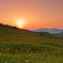 Sunrise of Bukovina.