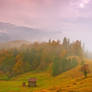 Autumn in Bukovina,