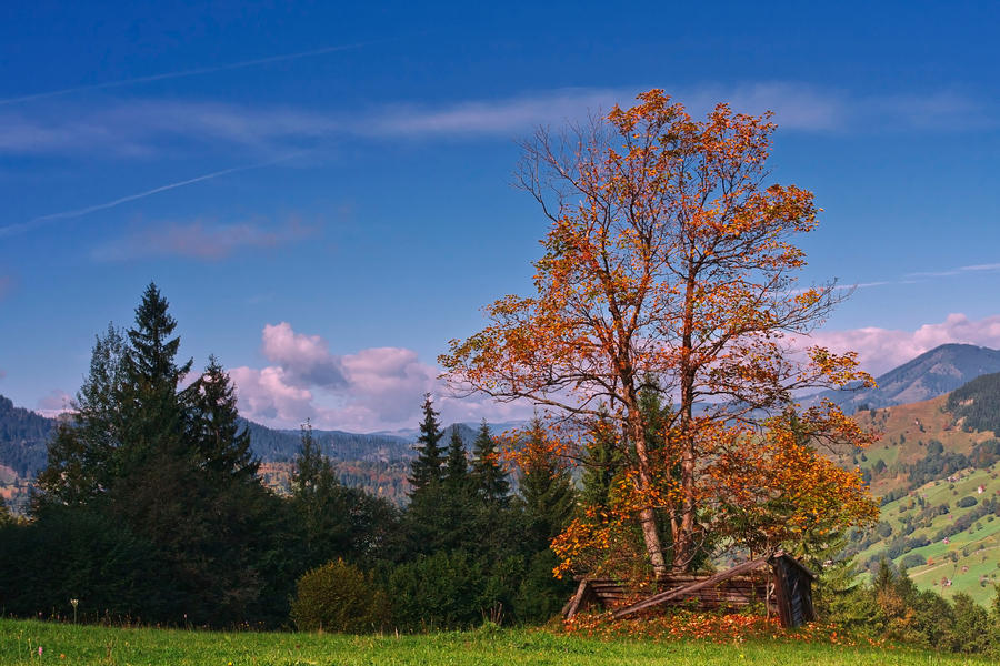 Autumn landscape.