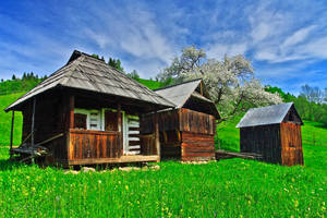 Hut from Bukovina