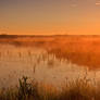 Fog on water