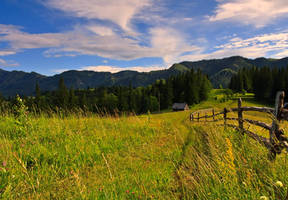 Landscape from Bukovina