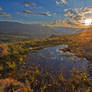 Spring in Bucovina