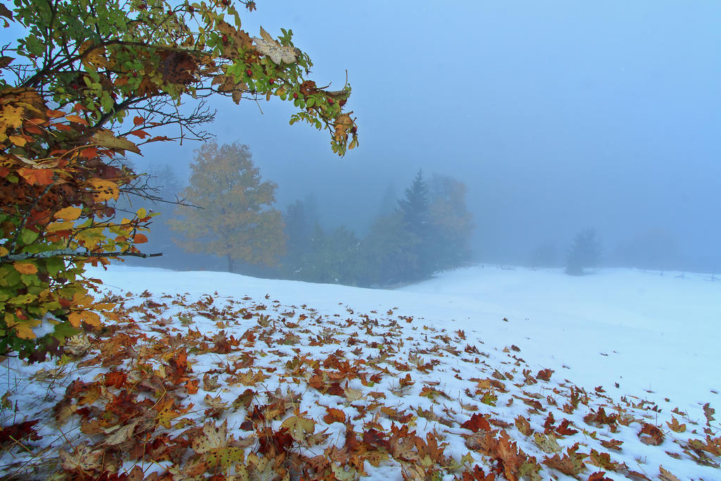 Autumn-Winter mornings