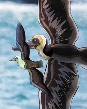 The Pisco Formation - Paleoart
