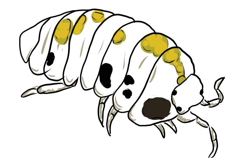 Magicpotion isopod by Karpizard-Prints on DeviantArt