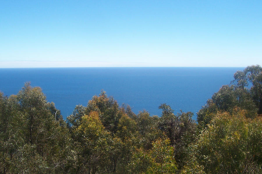 Roundhill Lookout 1