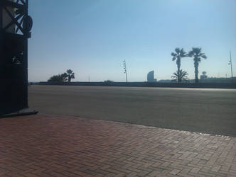 Barcelona beach and palms