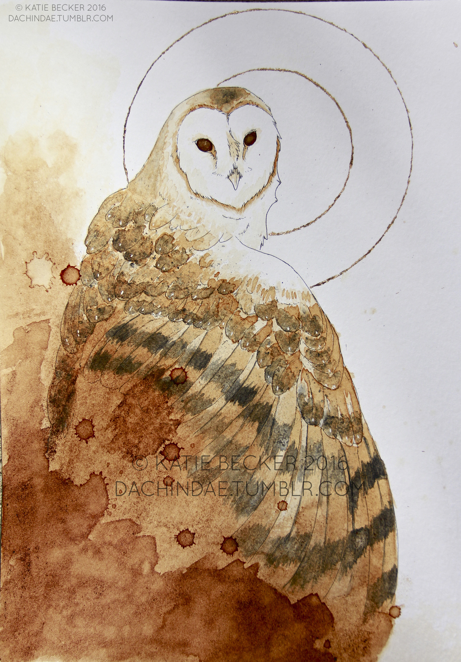Coffee Owl by Dachindae