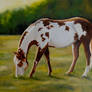Mare in the Morning (SOLD)