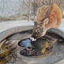 Drinking from the Frozen Trough (SOLD)