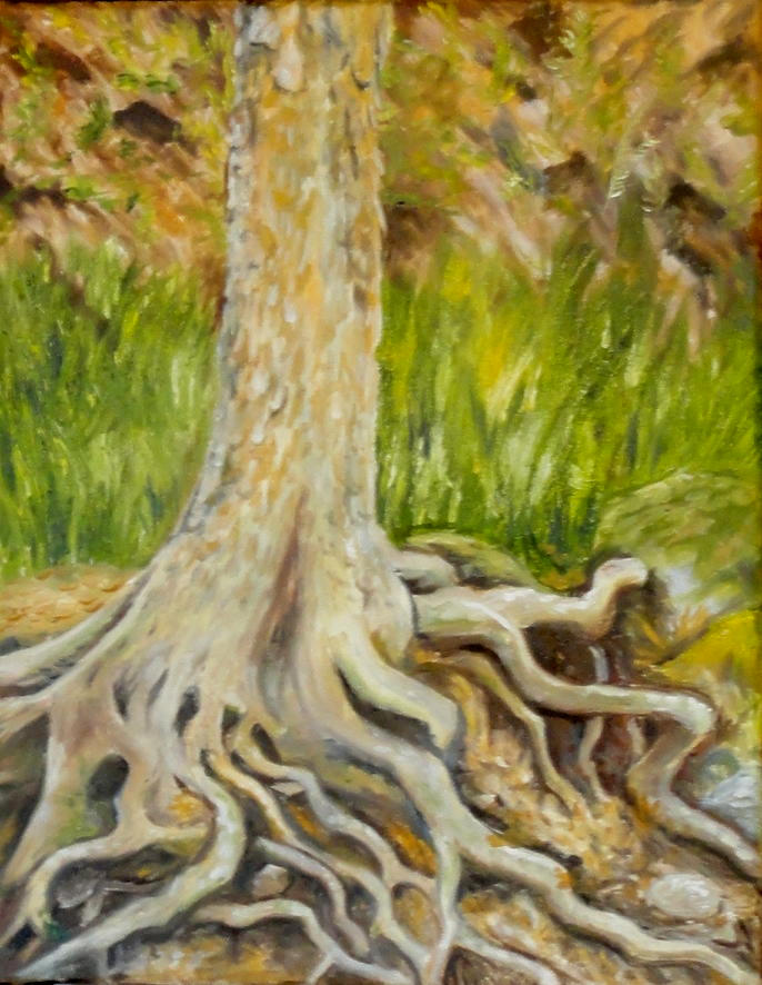 Sycamore Roots by angelahedderick on DeviantArt