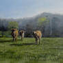 Coming in for Breakfast   (SOLD)