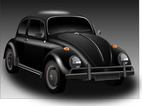 Black beetle