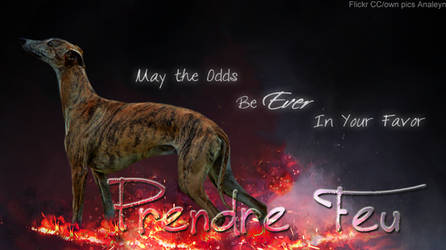 Whippet Banner- Hunger Games Inspired