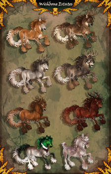 Feliquine Adopts 17 (CLOSED)