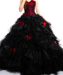 Prom Dress 4