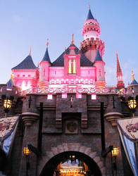 Sleeping Beauty's PINK Castle