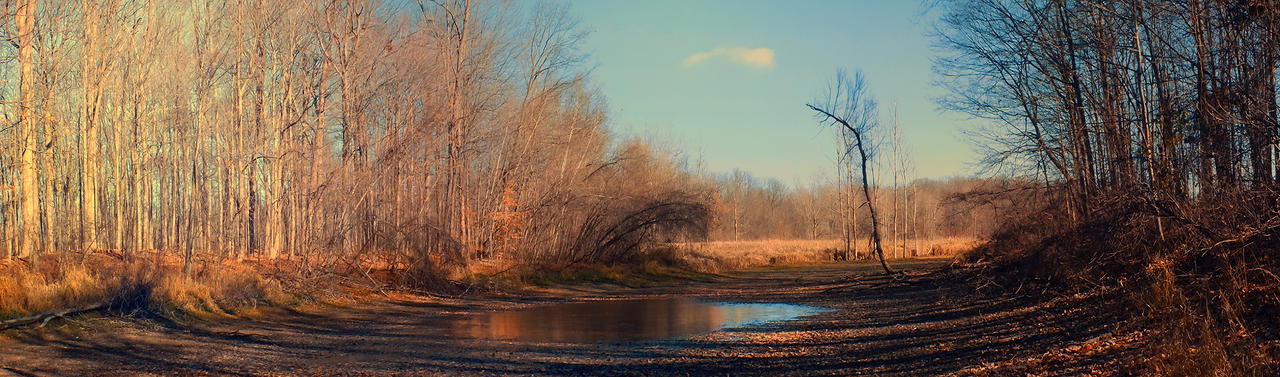 November Drought