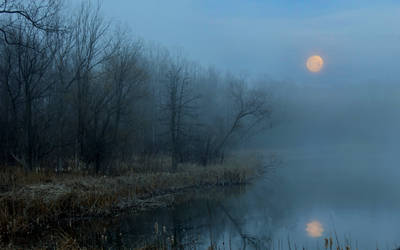 Moon Free by photorip