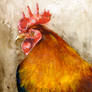 Rooster