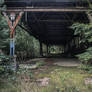 Overgrow