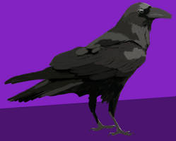 Visage, Attentus' Raven Familiar.