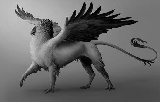 Griffin