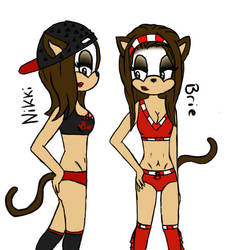 Nikki and Brie Sonic OC's