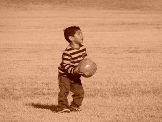 Fun at the Park