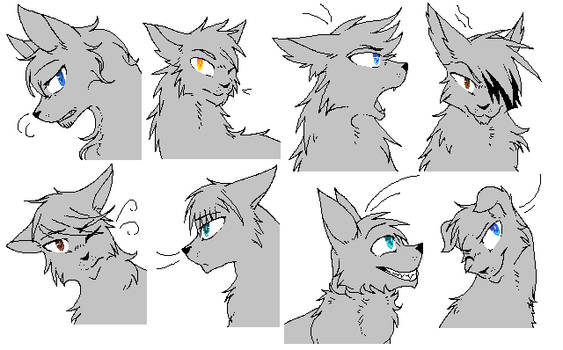 headshot bases