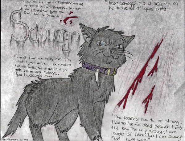 The Scourge of BloodClan (Warrior Cats) - Where the bad cats go