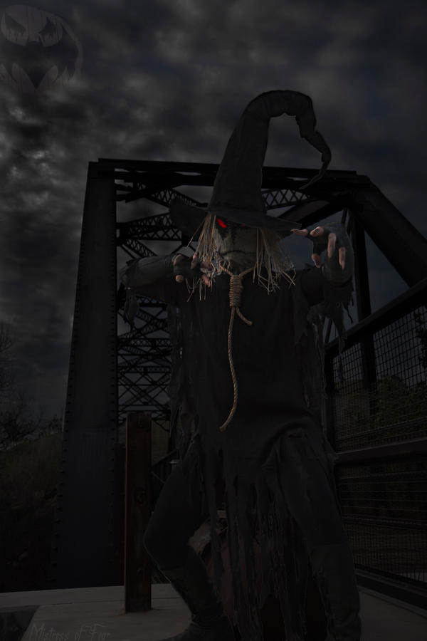 The Scarecrow - as drawn by Tim Sale 2 by beckyalbright
