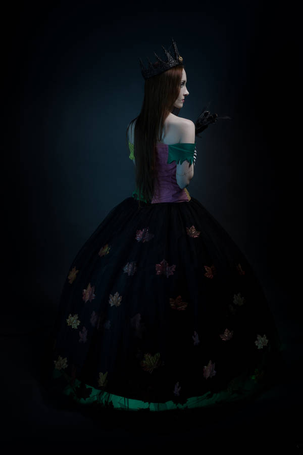 Disney Princess Sally - Back by beckyalbright