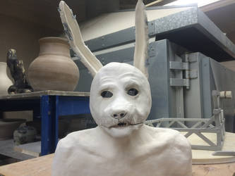 Final Version of The Wolbit