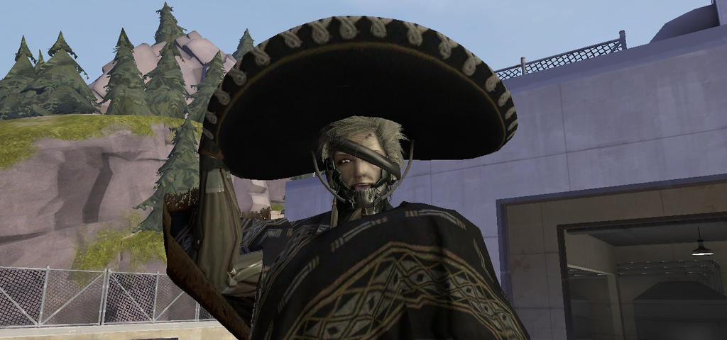 El Raiden by theshadowon on DeviantArt