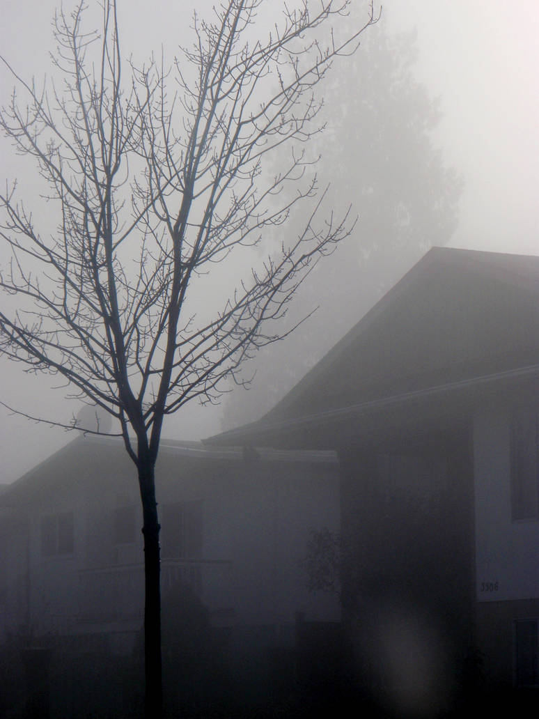 december rain by NHL-fan55 on DeviantArt