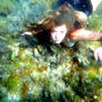 Underwater II