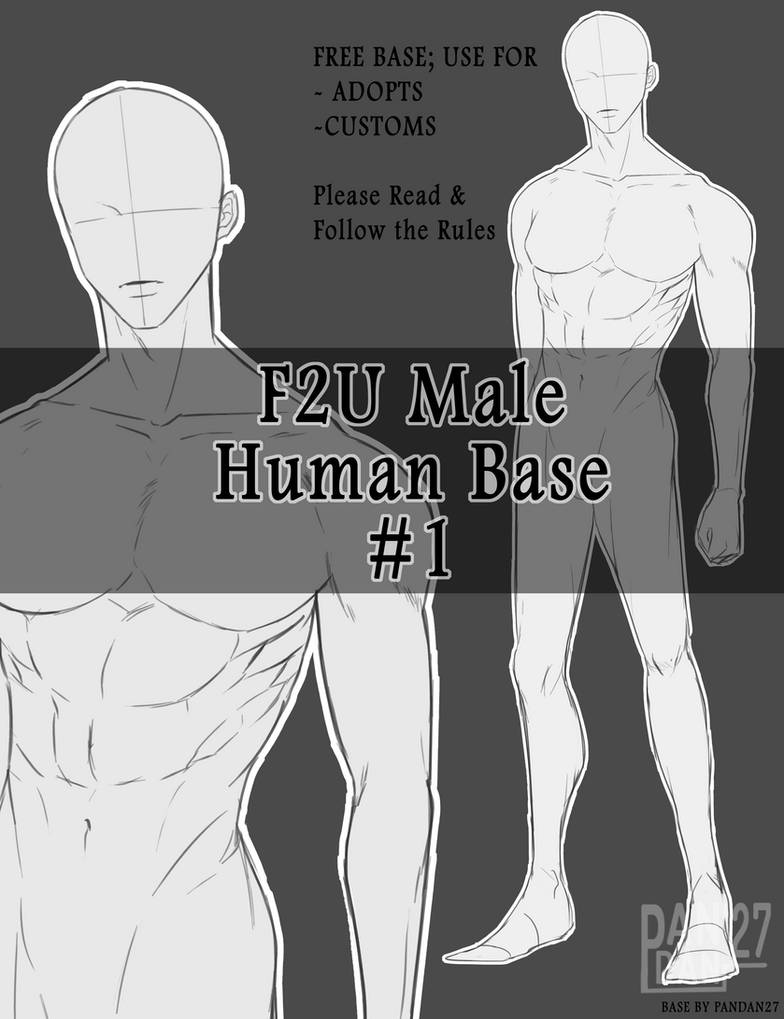 Human Bas F2U Male Human Base #1 by Pandan27 on DeviantArt