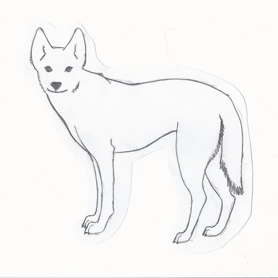Собака динго распечатать. Собака Динго нарисовать. Собака Динго рисованная. Собака Динго рисунок. Динго для срисовки.