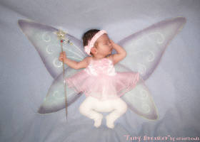 Fairy Dreamer