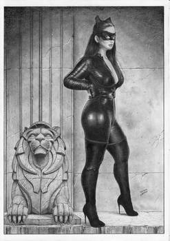 Catwoman Batman Dark Night