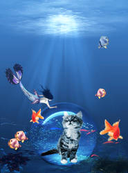 Underwater cat