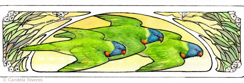 Lorikeets Motif