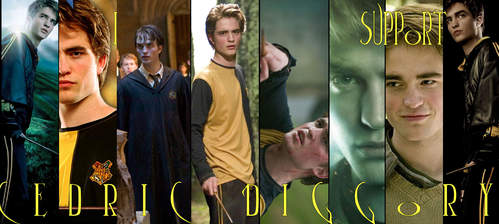 I Support Cedric Diggory