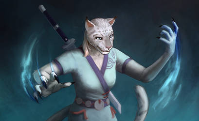 Khajiit stamcro